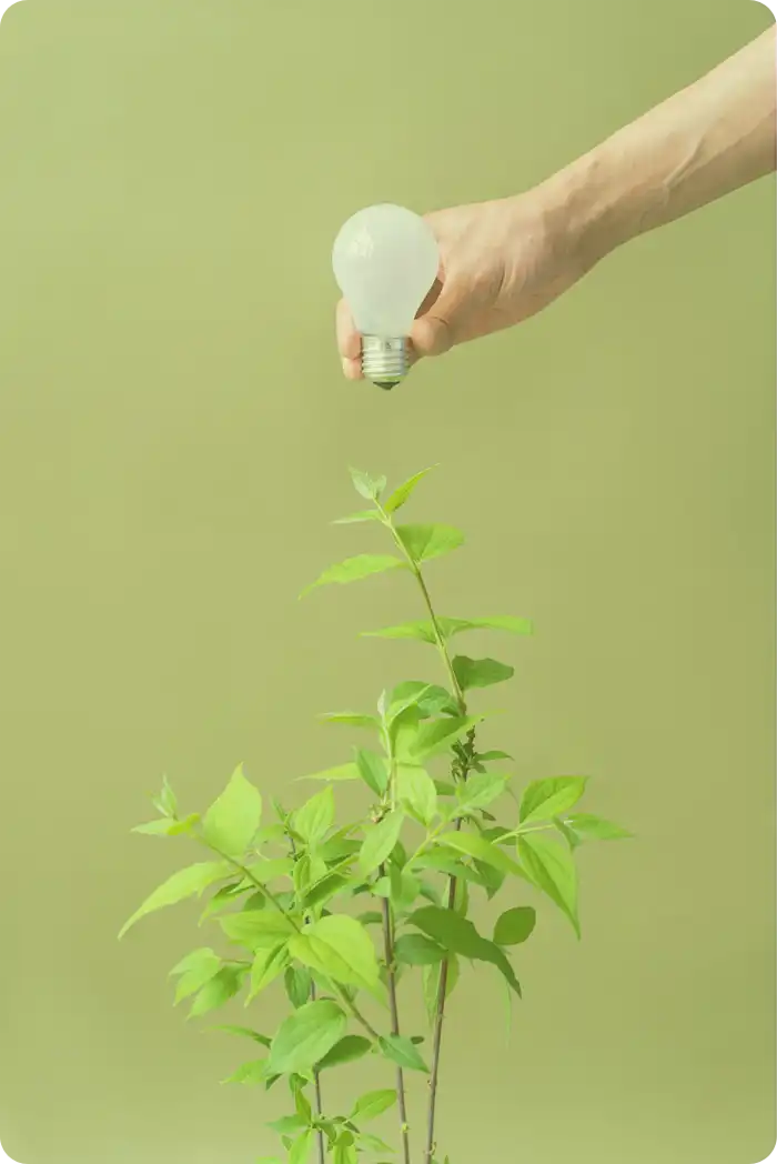 Programa de Sustentabilidade